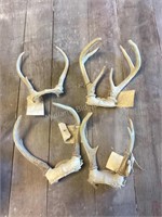Four Antlers