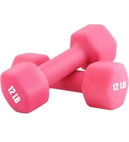 $64 (12LB) Weight Dumbbell - Set of 2