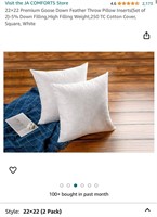 22 * 22 Premium Goose Down Feather Throw Pillow