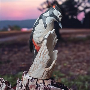 1975 Specht Porcelain Great Spotted Woodpecker
