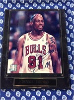 Dennis Rodman