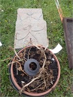 Butterfly & Dragon Fly Stepping Stones + Flower