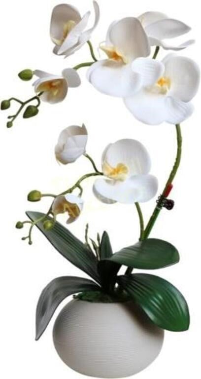 Forlaoers White Orchid Artificial Flowers Vase