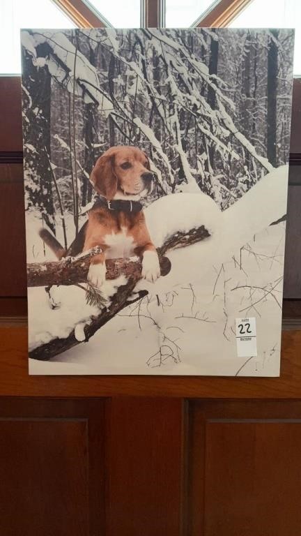 Dog in snow canvas picture
