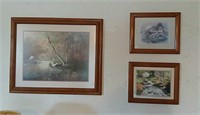 Pictures framed nature scenes (6)