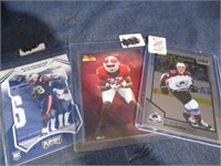 NFL / NHL Collector cards