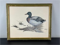 Vintage Framed Duck Print - Drake Mallard