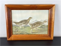 Vintage Framed Print - Sharp-tailed Grouse