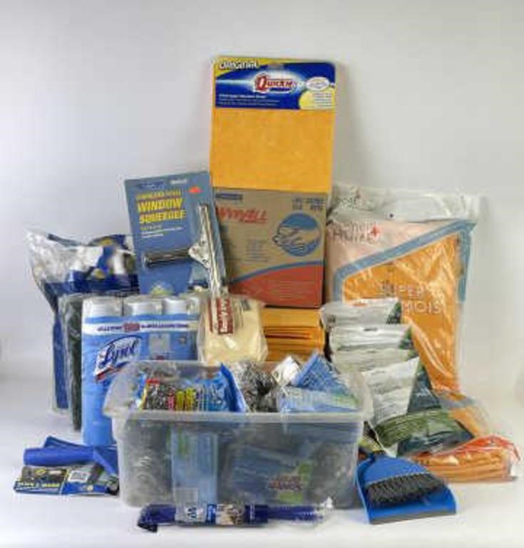Selection of Cleaning Supplies