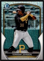 Shiny Parallel Termarr Johnson