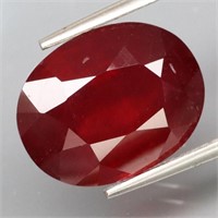 Natural Pigeon Blood  Red Ruby 7.52 Cts