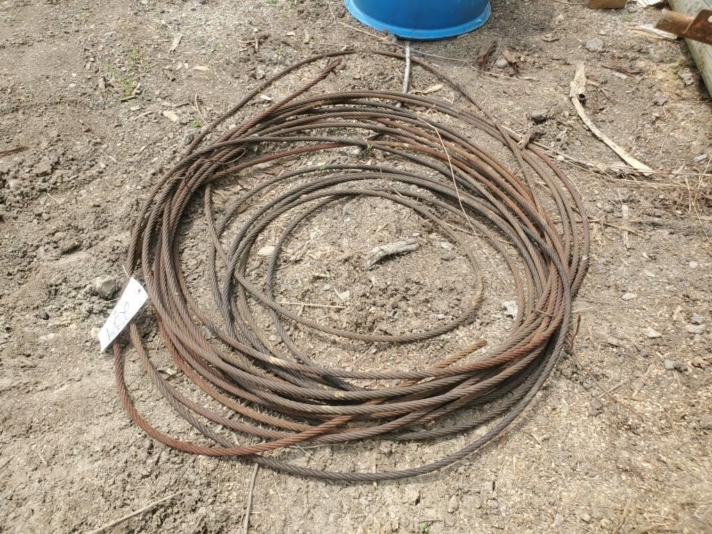 Cable and hose