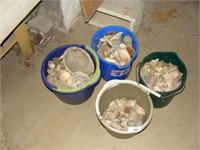 Buckets of Shells