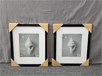 2x The Bid Furio Framed Prints