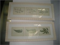 (2) Botanical Prints  11x27 Inches