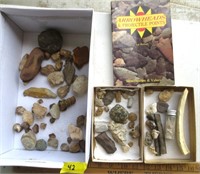 Artifacts, fossils, book