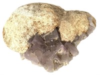 Barite Snowball on Violet Fluorite 5.5" W