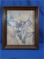 Framed Buck Print 13x16