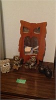 Assorted owls