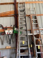 20'' Extension Ladder