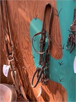 HALTER / BRIDLE COMBO
