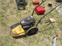 1769) Cub Cadet push mower