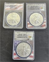 2009,20,24 US Silver Eagle Coin