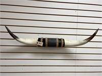 Long Horn Mount Decorated On Wooden Plaque