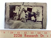 Large tintype photograph men shoeing a horse