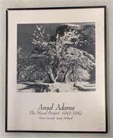 Framed Ansel Adams photo