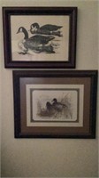 Duck Prints