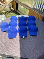 10- Pro Flex Hats- Blue- New