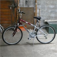 Raleigh SC 40 Bicycle
