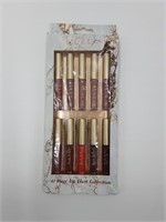 Nicoler Miller 10 peice lipgloss collection