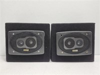 Pair of Roadmaster Speakers