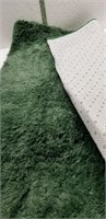 48x70 Green shag area rug