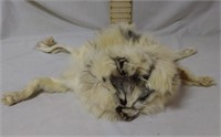 Taxidermy Fur Hat