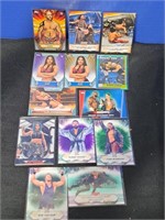 (13) #'d WWE Wrestling Cards