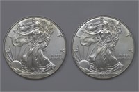 2 - 2020 ASE Silver Eagles