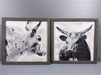 Nguni Cattle Art By Claudette Koekemoer