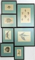 Lot of Seven 18th and 19th Century Engravings.