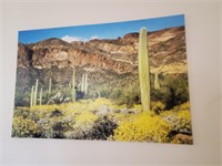 Southwestern Design On Canvas Photo