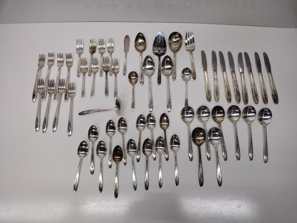 Silver Tulip Silver Plated Flatware