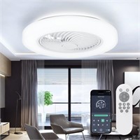 N2059  Blitzwill 21'' Ceiling Fan with Light