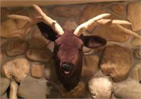 Elk Mount Stuffed Animal Kids Room
