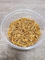 1000 Live Mealworms
