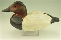 Carved Canvasback drake unsigned.