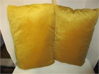 2 Throw Pillows