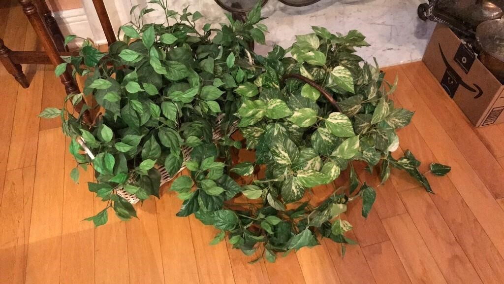 2 Silk Ivy Plants in Baskets