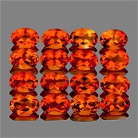 Natural Madeira Orange Citrine 16 Pcs [Flawless-VV